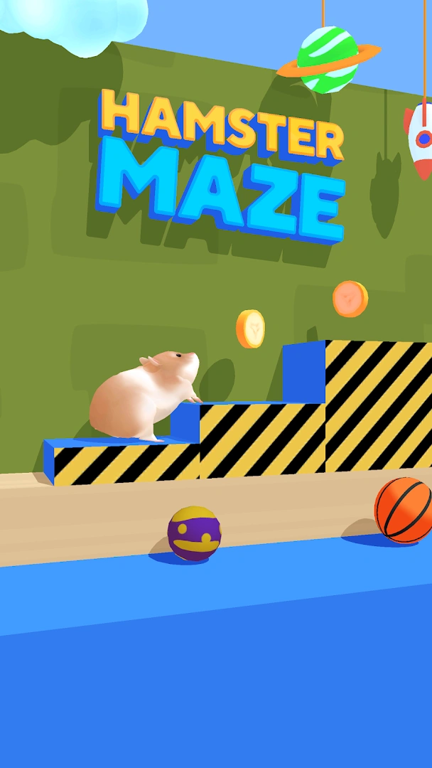 Hamster Maze