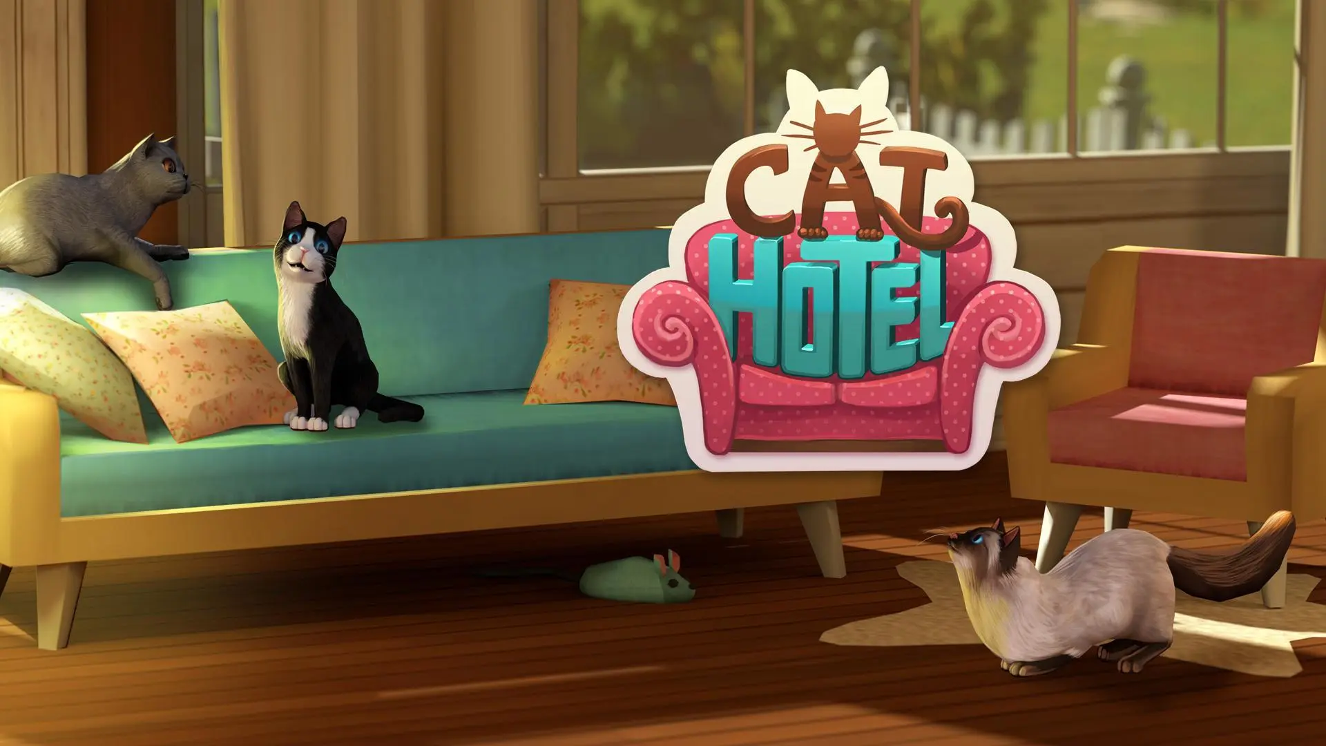 CatHotel play with cute cats