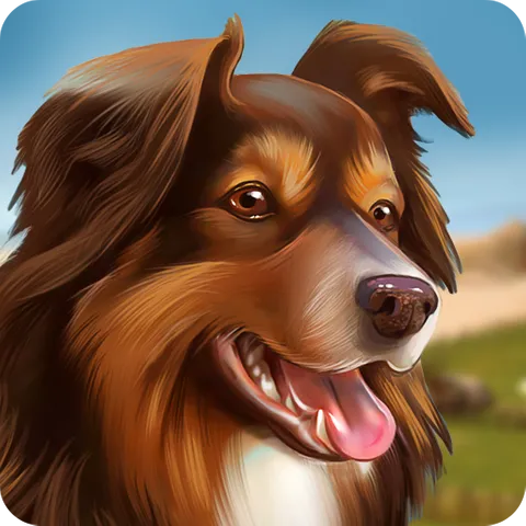 Dog Hotel – Play with dogs