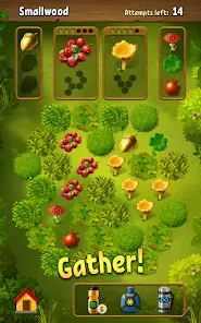 Forest Bounty — collect & cook