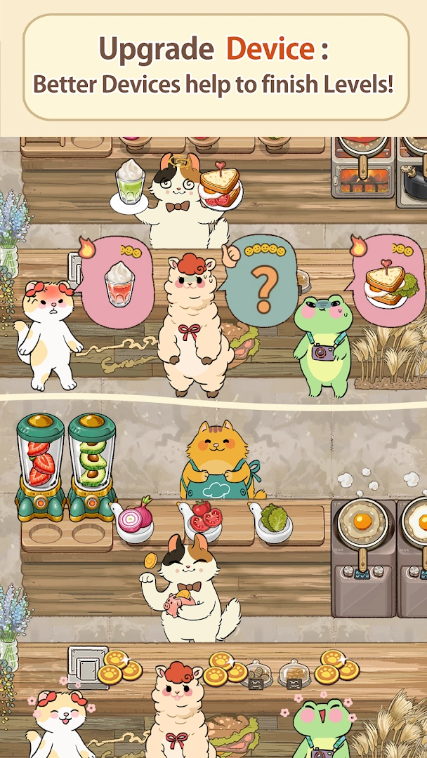 Purr-fect Chef: Cats Can Cook
