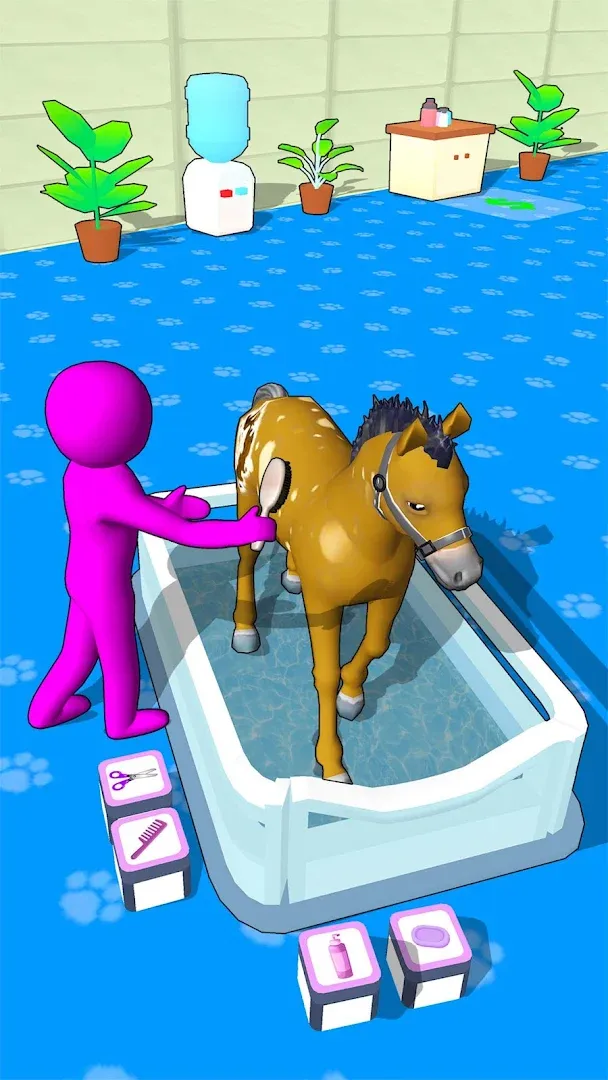 Horse Hospital Care