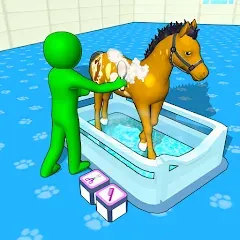 Horse Hospital Care